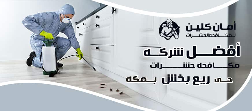 شركة مكافحة حشرات حي ريع بخش بمكة